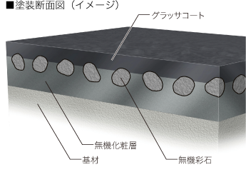 コロニアルグラッサの断面