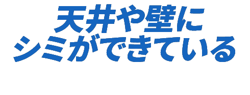 天井や壁にシミができている