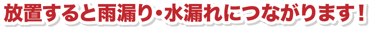 放置すると雨漏り・水漏れにつながります！